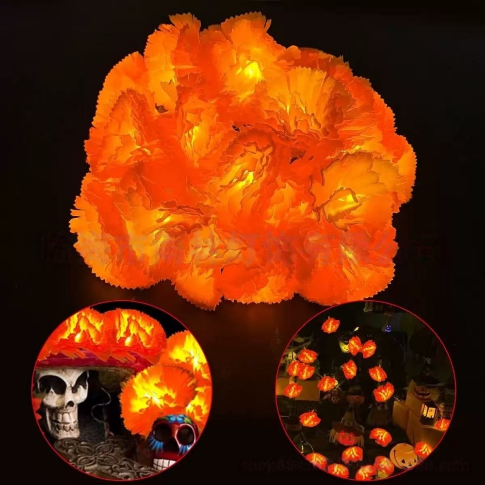 Goudsbloem LED-lichtsnoer voor - Halloween Led String Lights Orange recensie en prijs